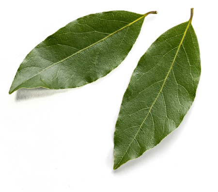 Real. Healthy. Food.